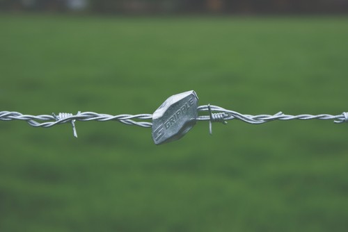 Gripple mild steel barbed wire - steel,