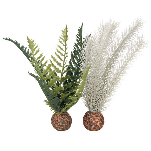 Biorb thistle fern - biorb,