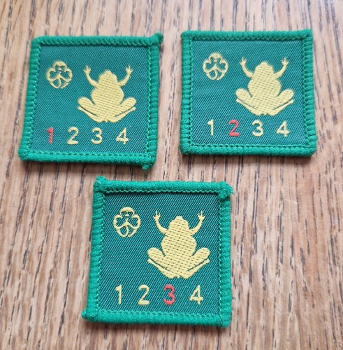 Girlguiding old swimmer stage - old,
