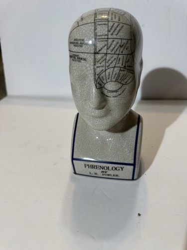 Phrenology head bust n - bust, l.n