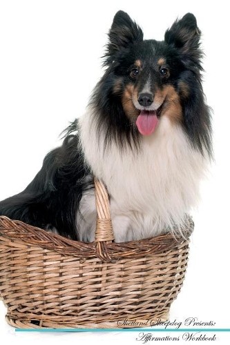 Shetland sheepdog affirmations - sheepdog,