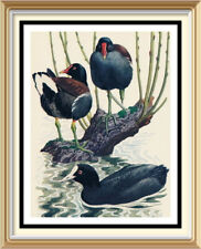 70+yr Old Vintage TUNNICLIFFE