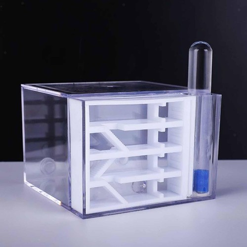 Ant farm funny - ant, diy