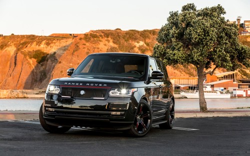 Cars 2016 strut range rover