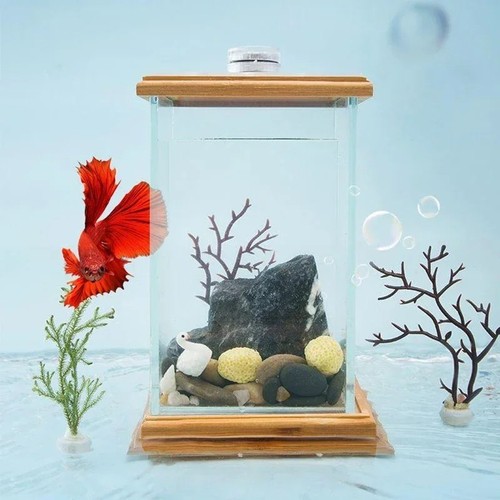 Led cylindrical fish tank - tank, mini
