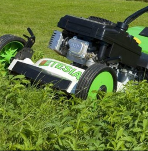 Mower hire tractor - tractor, pedestrian