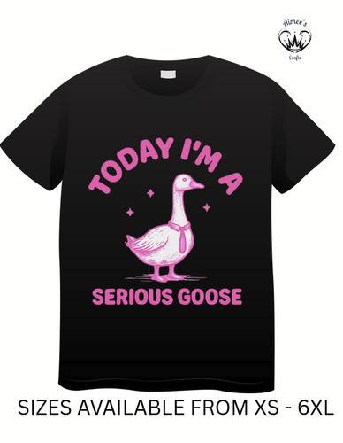 Today serious goose - im, to