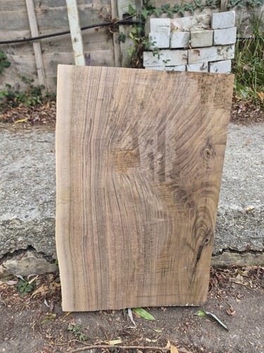 Thick english walnut - thick,