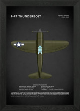 Republic P47 Thunderbolt