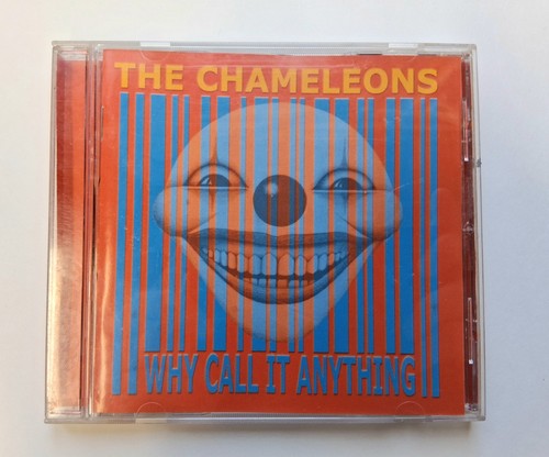 The chameleons why call it - the,