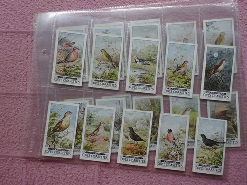 Complete set cope - set,