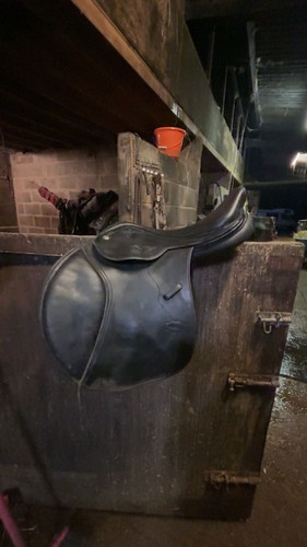 Monarch saddle comes - gp,