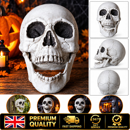 Halloween skull decoration - skull,
