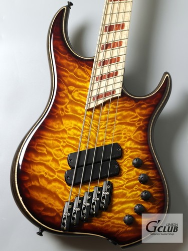 Dingwall 5st quilt maple - dingwall, -quilt
