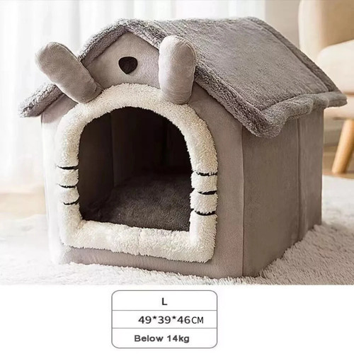 Large size pet - size, dog