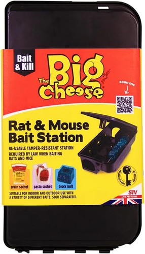 The big cheese rat mouse - big,