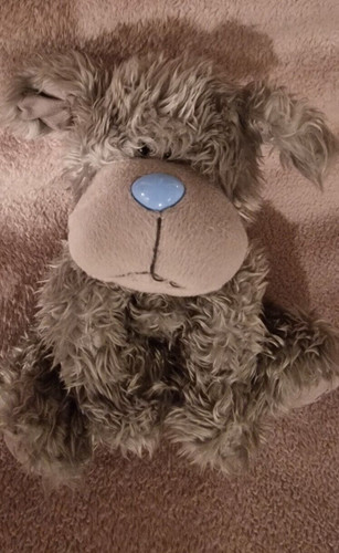 You tatty puppy teddy - me,