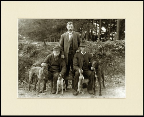 Lurcher dog art - print, mounted