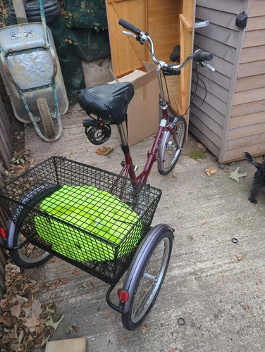 Pashley tri folding - folding, trike