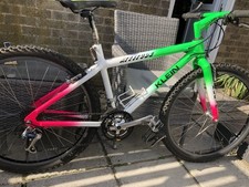 Klein Attitude Very Early