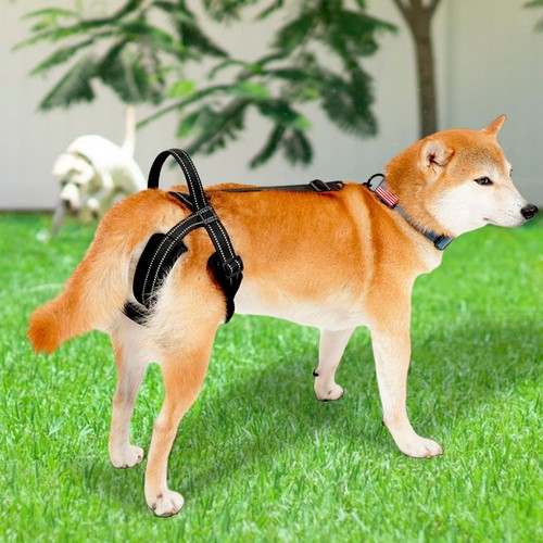 Dog lift support harness hind - lift,