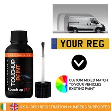 Touch Up Paint For Peugeot Boxer I By Car Registration Reg Numberplate Pen