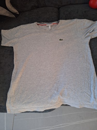 Lacoste kids shirt size - kids,