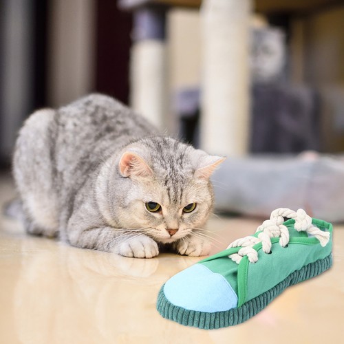 Pet creative - pet,