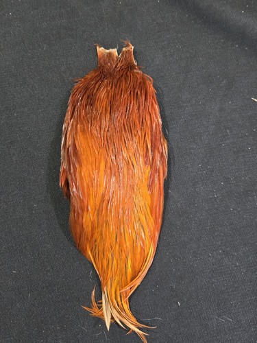 Red brown rooster - red,
