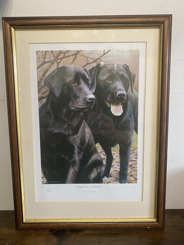 Limited edition print ready - edition, “ready