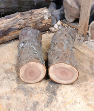 Pair fully seasoned large - pair,