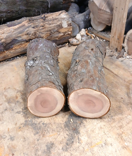 Pair fully seasoned - fully, large
