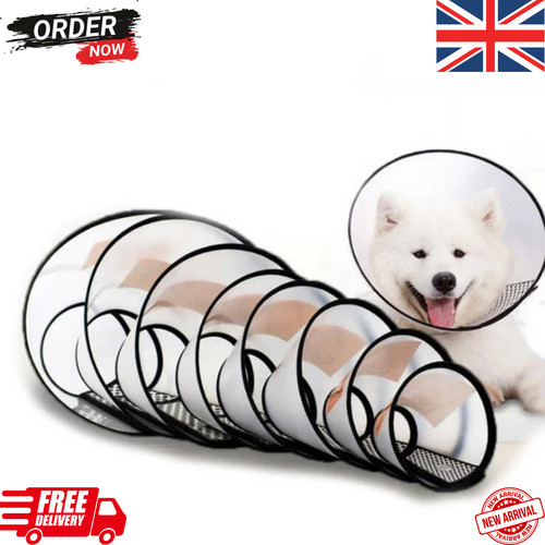 Elizabethan pet protective - pet,