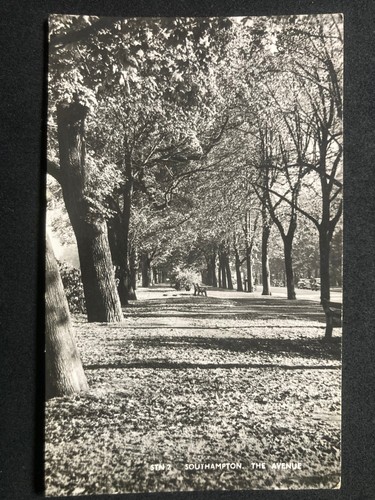 The avenue southampton - avenue,,