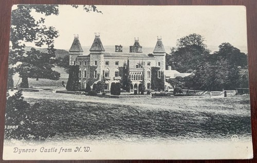 Vintage postcard dynevor - vintage,