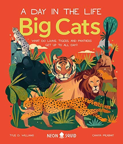 Big cats - (a, life)