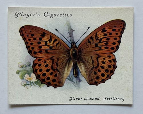 Player british butterflies - player’s,