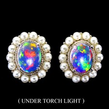 925 Sterling Silver Earrings