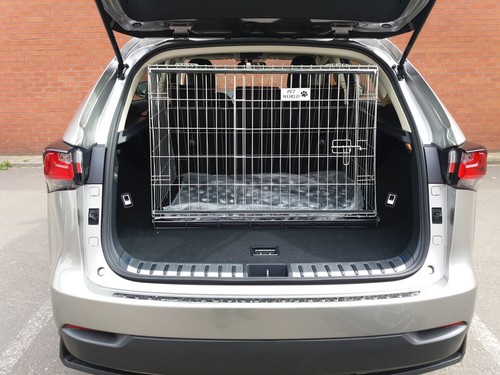 Pet world lexus sloping - world, nx