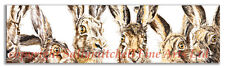 Wildlife hare print 'Hareline' by Paul Doyle (small)