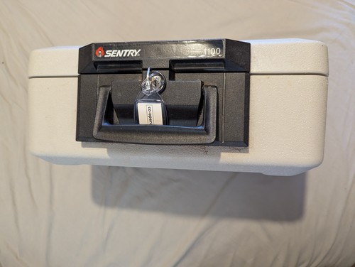 Sentrysafe 1100 fire - fire, &