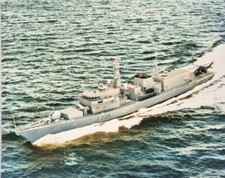 LARGE Original Photo Royal