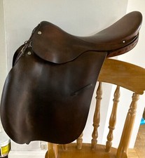 Brown working hunter - 17", gp