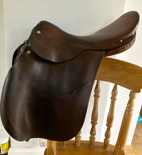 Brown working hunter - 17",