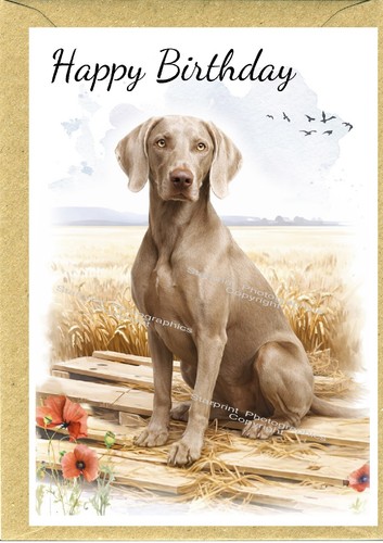 Weimaraner dog - dog, 6")