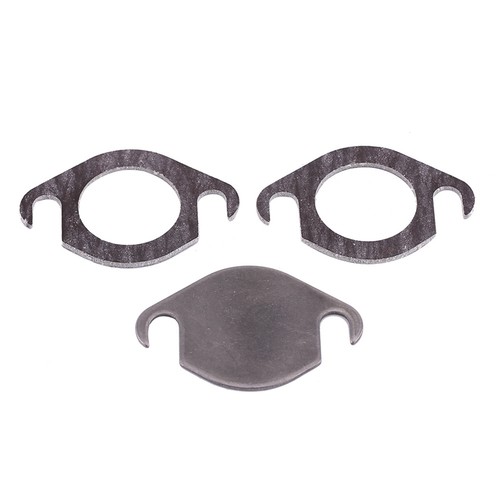 Egr valve blanking - egr,