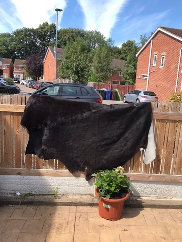 Cow hide rug - cow,