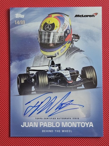 Juan pablo montoya blue - pablo,