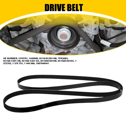 Car ribbed drive - /, belt