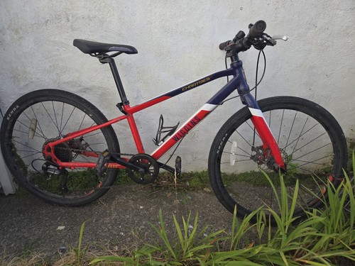 Wiggins chartres inch kids - 24,